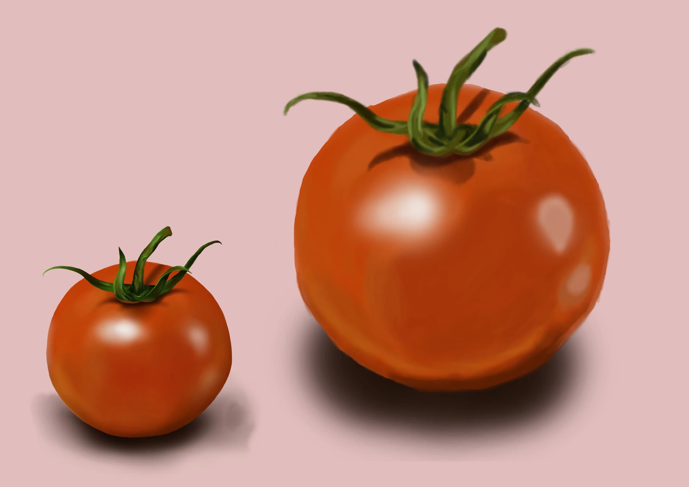 Painting of two glossy red tomatoes with green stems on a soft pink background, a small one at left and a larger one at right.